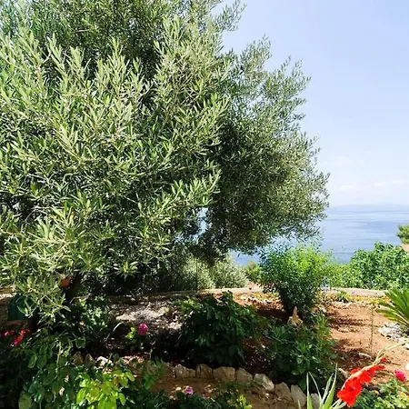 Bella Vista - Two Bedroom With Balcony And Sea View Apartment
